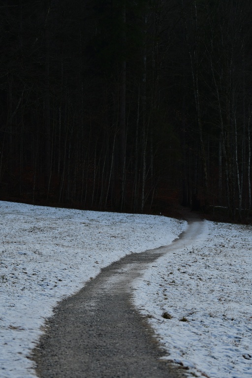 2018-12-29 Hohenschwangau/DSC_8789.JPG